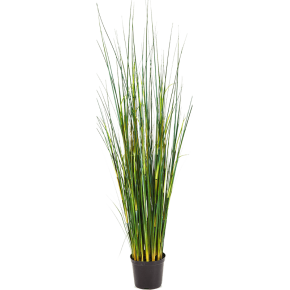 bamboo-wild-grass-95cm