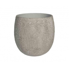 oyster-gillard-s-imperial-white1