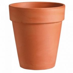 vaso-alto-1
