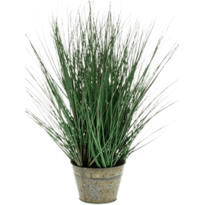 wild-grass-in-zinc-50cm