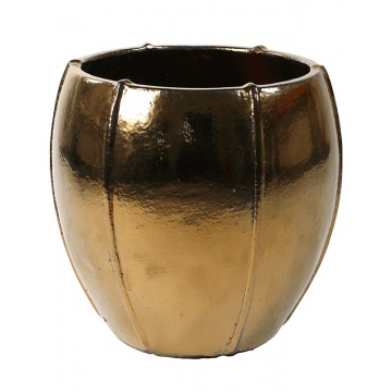 emperor-moda-gold