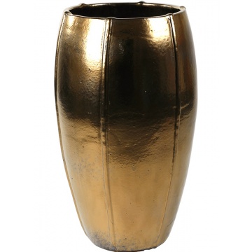 emperor-moda-goldii