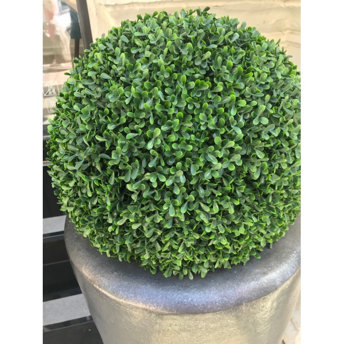 48cm-uvallo-buxus