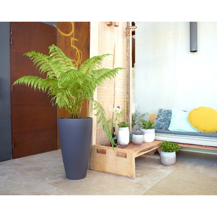 artevasi_havana_natural_noveny_733621911