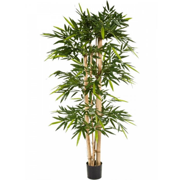 bamboo-branched-270cm_236982503