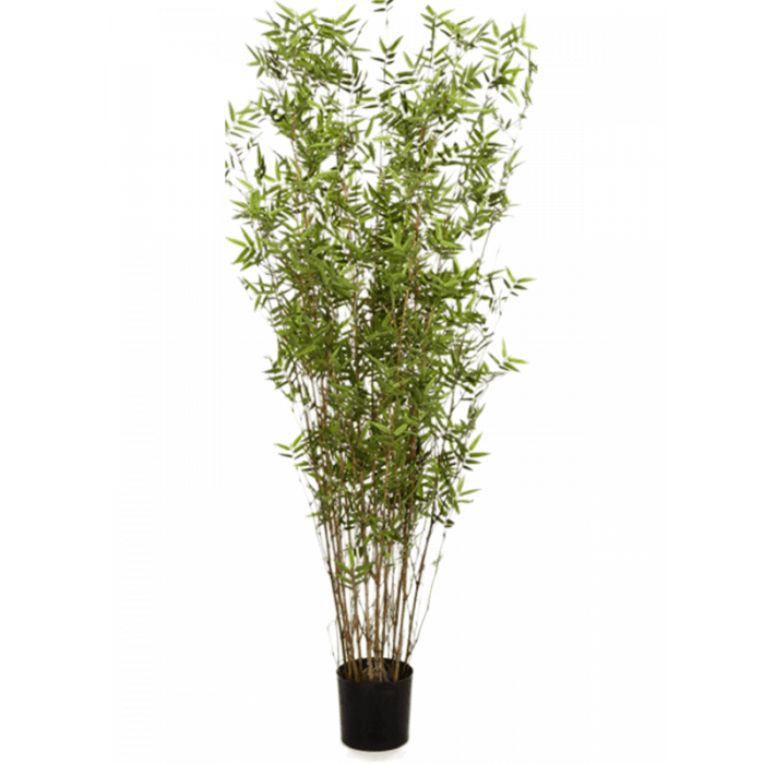 bamboo-oriental-column-160cm_902339753
