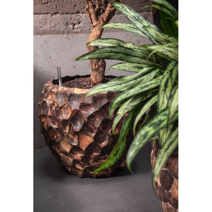 baq-facets-planters-_286896956