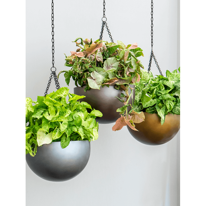 baq_gradient_hanging_bowl_matt_coffee_332_502770847