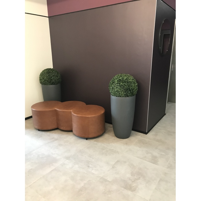 buxus-dekor_226370005