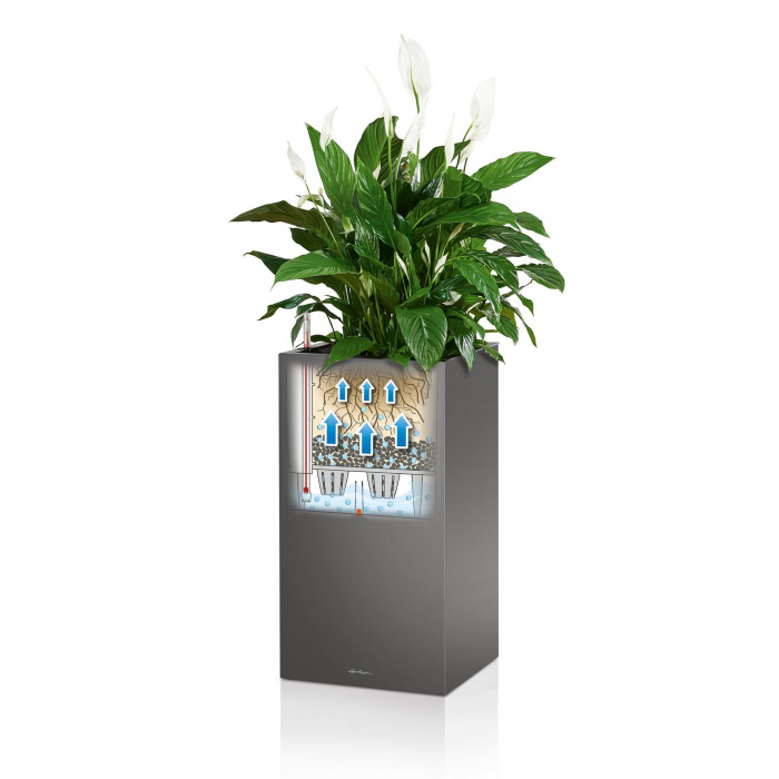 canto-premium-40-high-white-high_1906968495