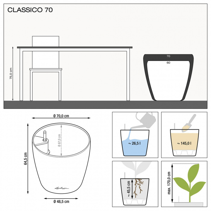 classico-70_762421284