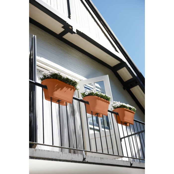 corsicaflowerbridgeterra_i2_1760373702