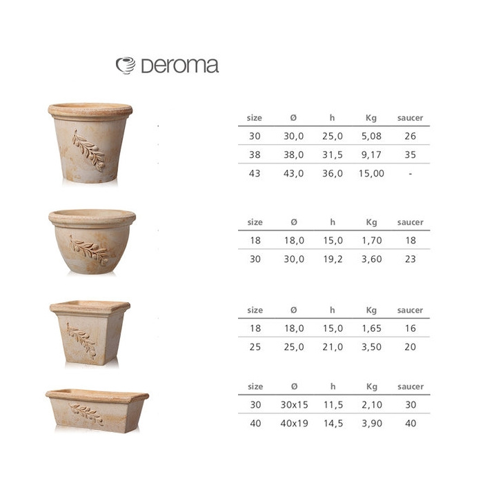 deroma-olive_48497632