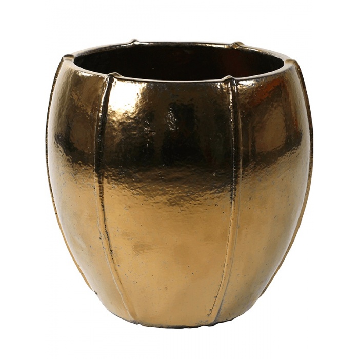 emperor-moda-gold_94909061