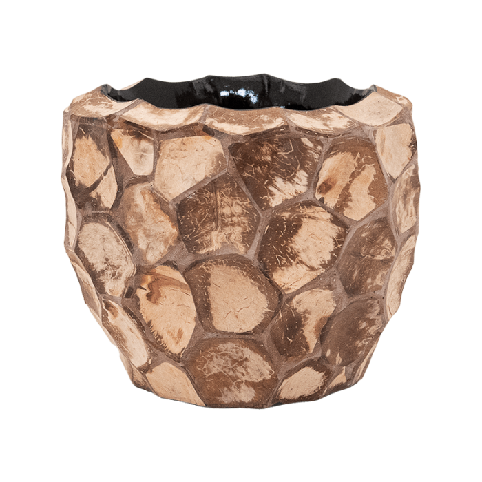 facets-into-coco-couple17x15_8560024