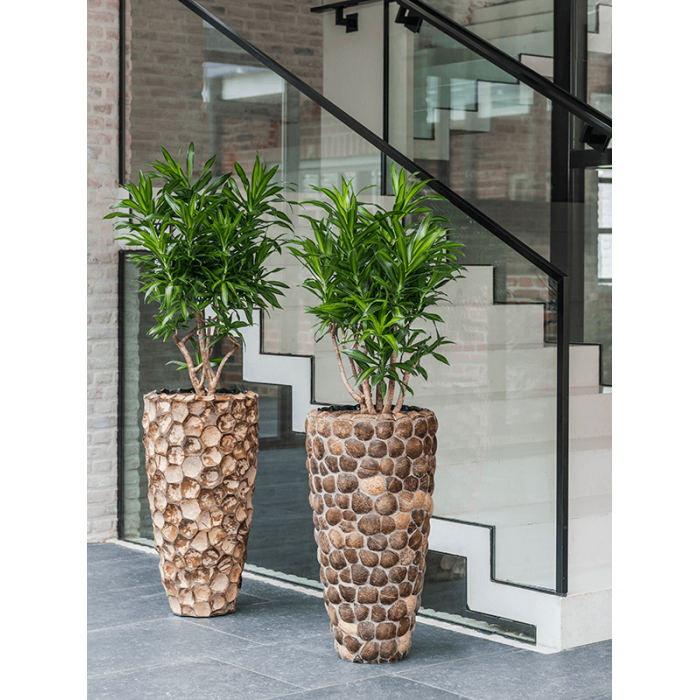 facets-into-coco-partner_1930020009
