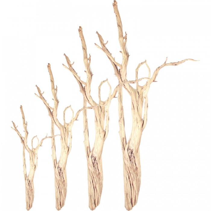 ghostwood