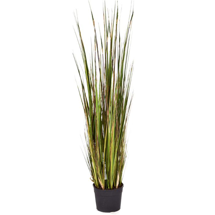 grass-bamboo-120cm_1548769399