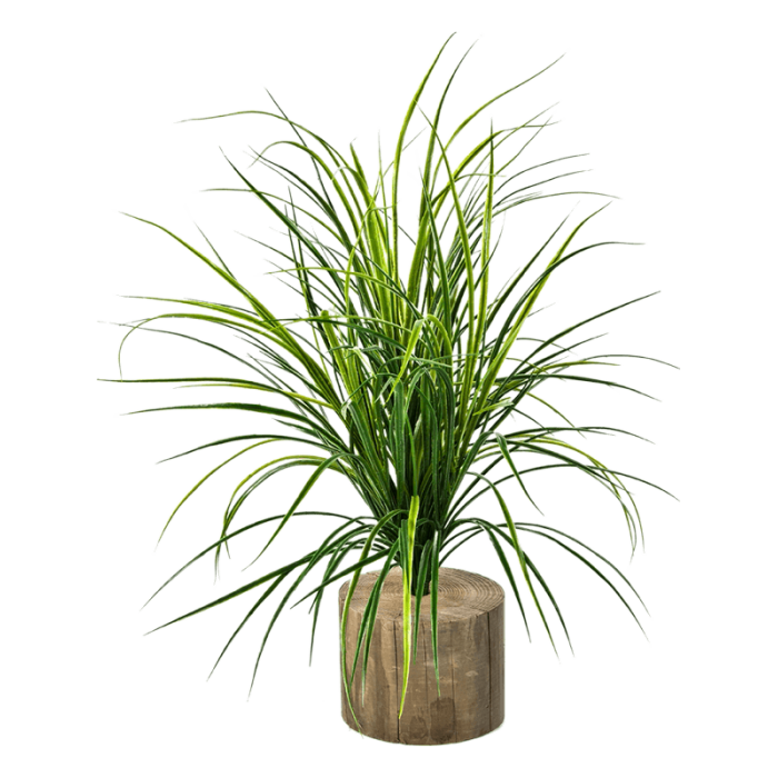grass-bunch-75cm