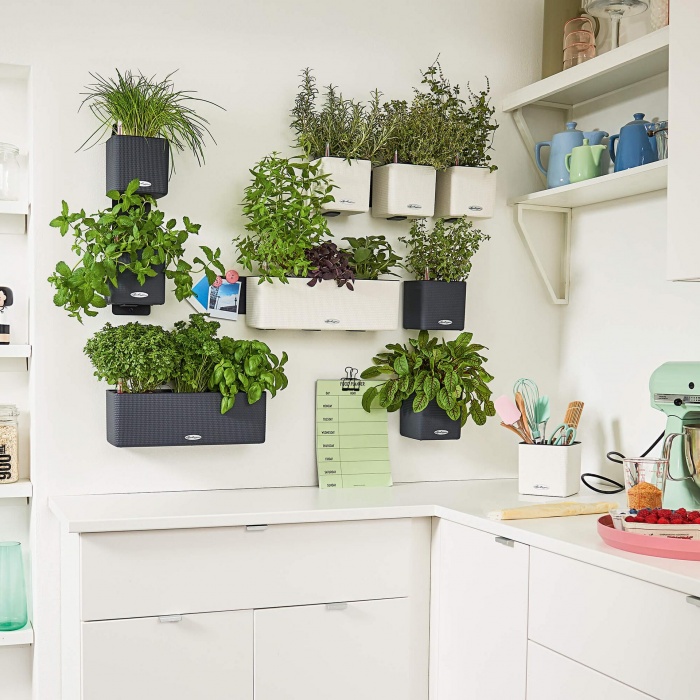 green-wall-_1933481580