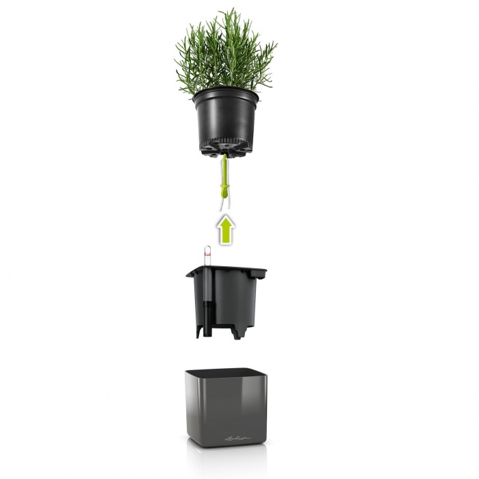 green-wall-home-kit-glossy-faszen-sett-2_2003145406