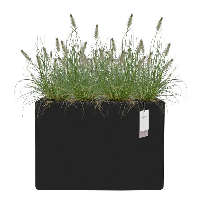 june_brick_divider_80cm_black_pennisetum_443387862