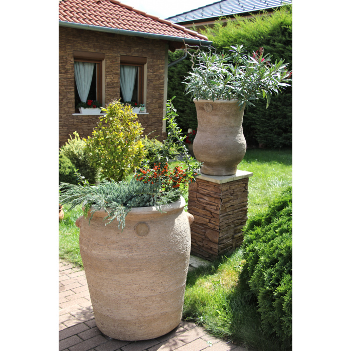 koedeny7_2144123930