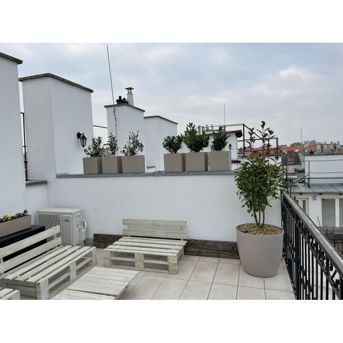 lechuza-balconerastone-80-homok1_8_946801360
