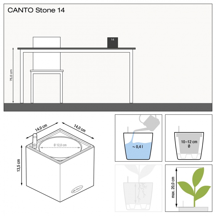 lechuza-canto-stone-14