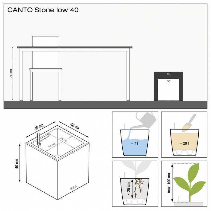lechuza-canto-stone-40_1991326172