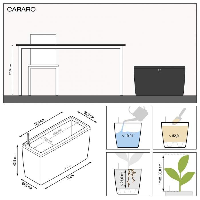 lechuza-cararo_763272633