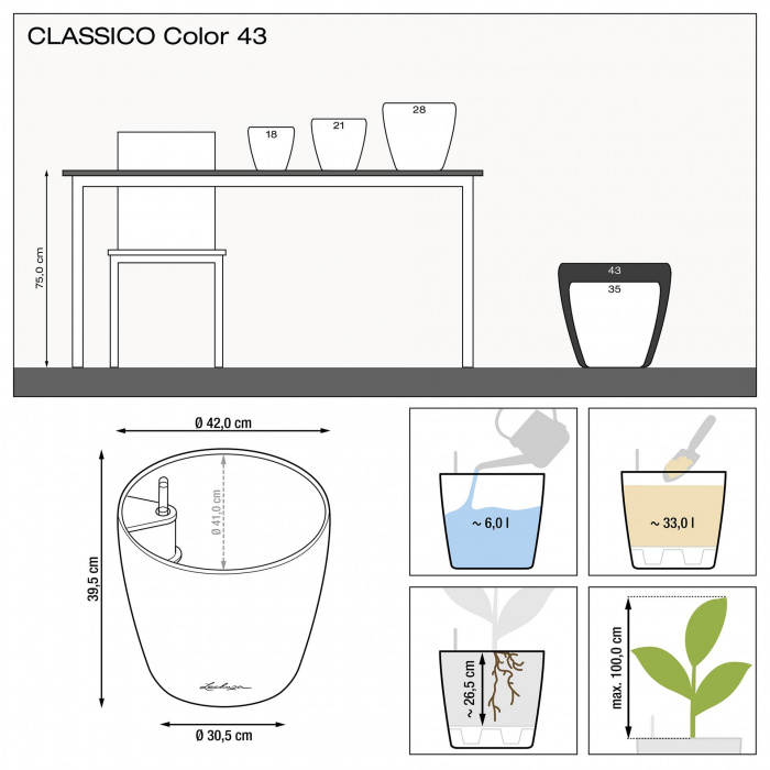 lechuza-classico-color-43_2080096430