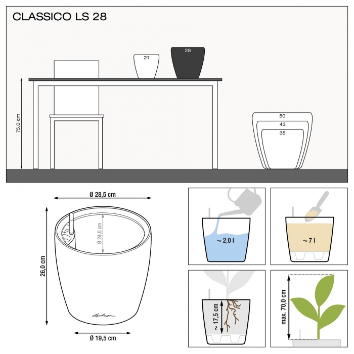 lechuza-classico-ls-28_299773722