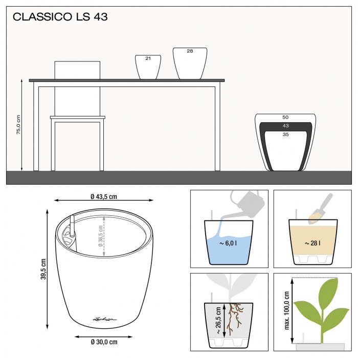 lechuza-classico-ls-43_280914986