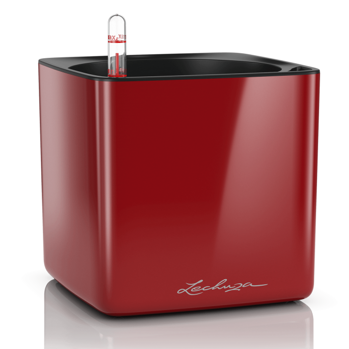 lechuza-cube-glossy-skarlat_1526423141
