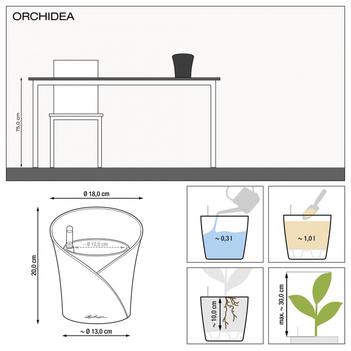 lechuza-orchidea-meret_640317325
