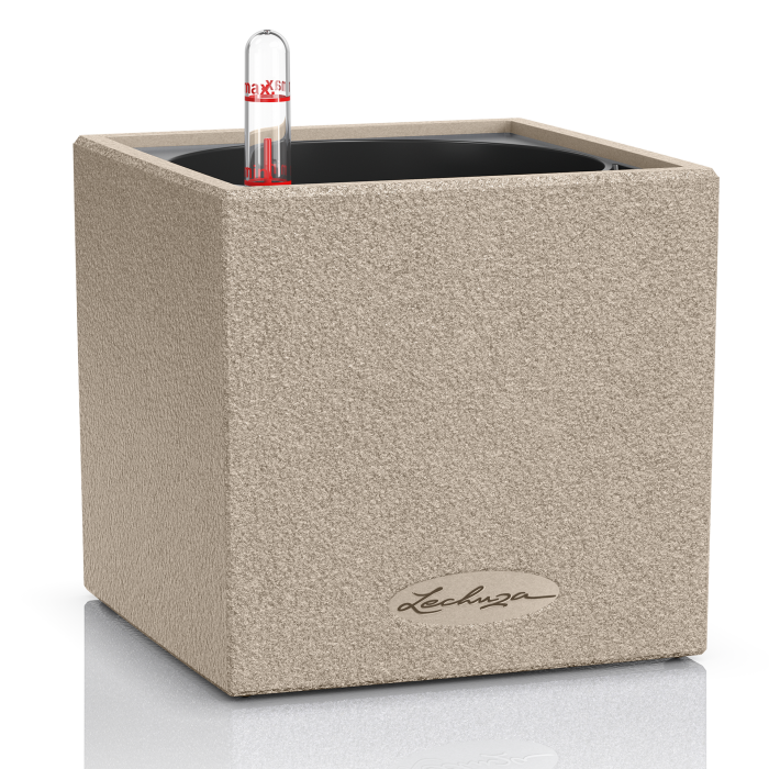 lechuzacanto-stone14-homok_1846834408