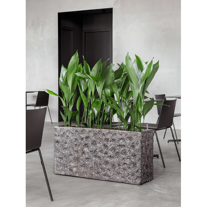 luxe-lite-universe-moon-rectangle-bronze-