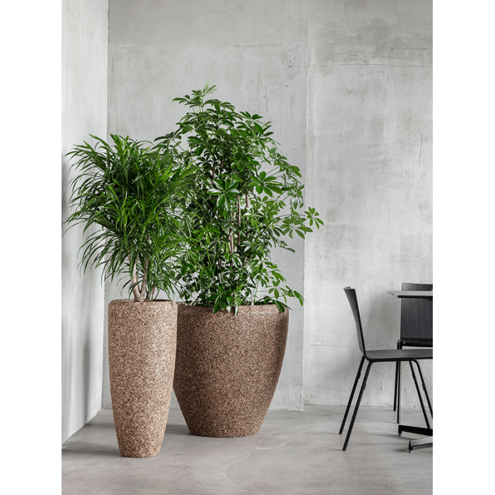 naturescast-couple-