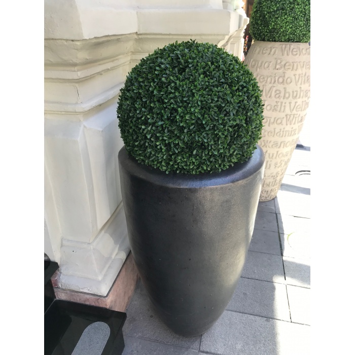 partner-delux-buxus_2126850660