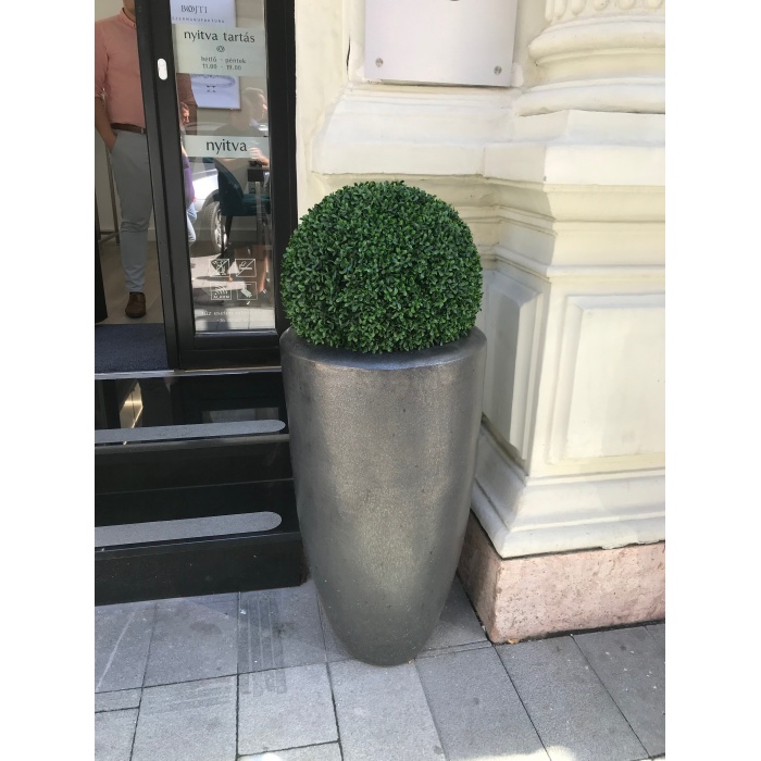 partner-delux_48cm-buxus_1155122182