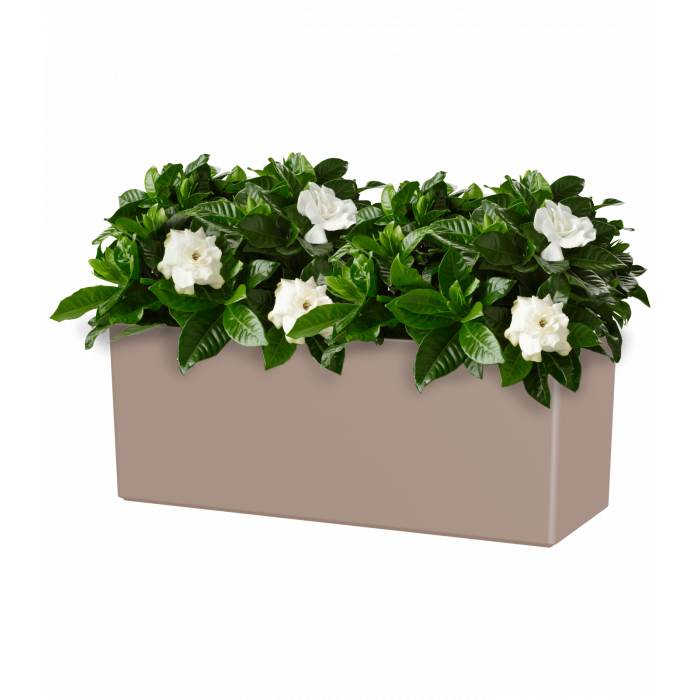 plastic-pot-recyclable-plant-box-brown-plant