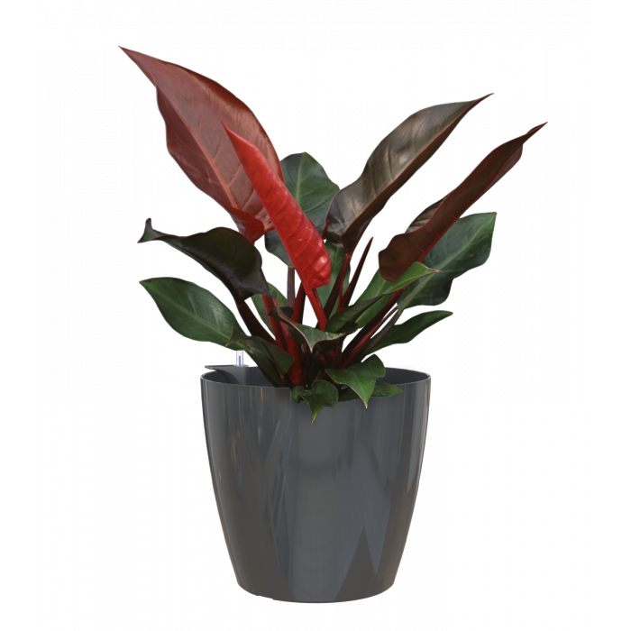 plastic-pot-recyclable-planter-glossy-indoor-anthracite-plant-1_1262624966