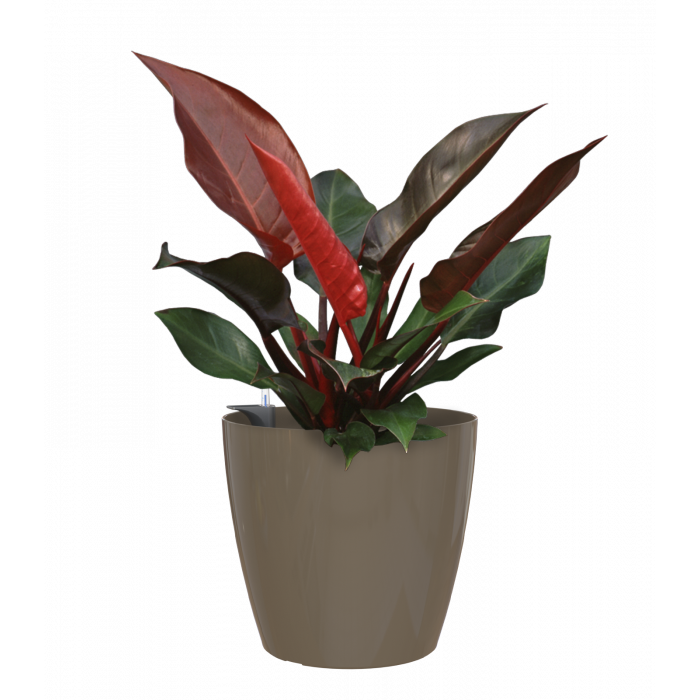 plastic-pot-recyclable-planter-glossy-indoor-taupe-plant_739983726