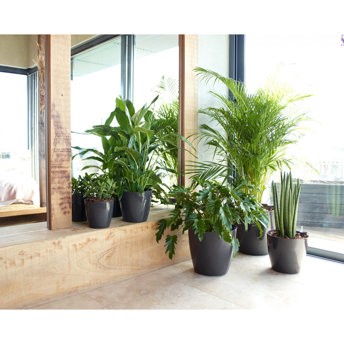 plastic-pot-recyclable-planter-self-watering-anthracite2-1_1725574011