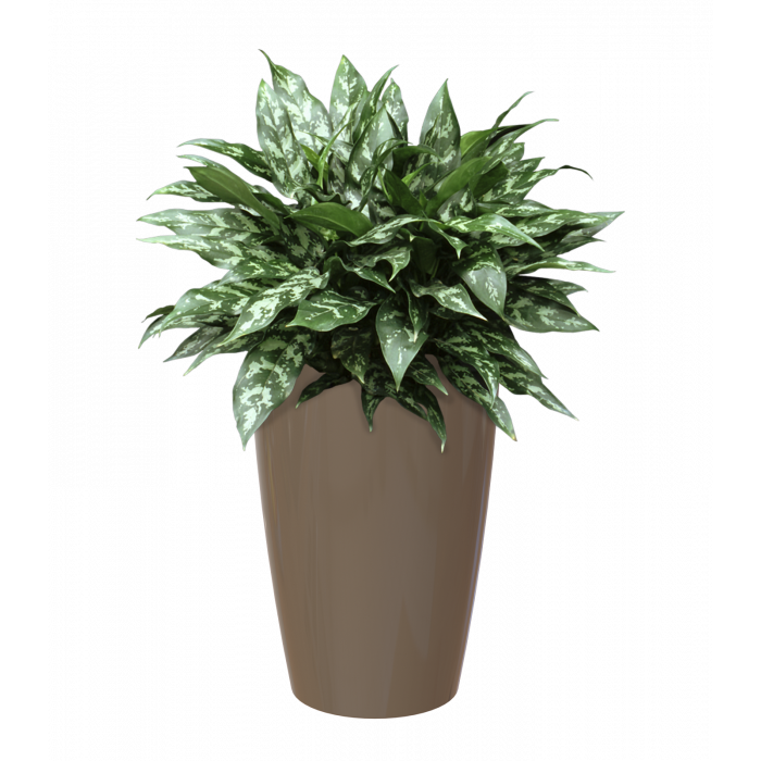 plastic-pot-recyclable-planter-tall-brown-plant_1336113030