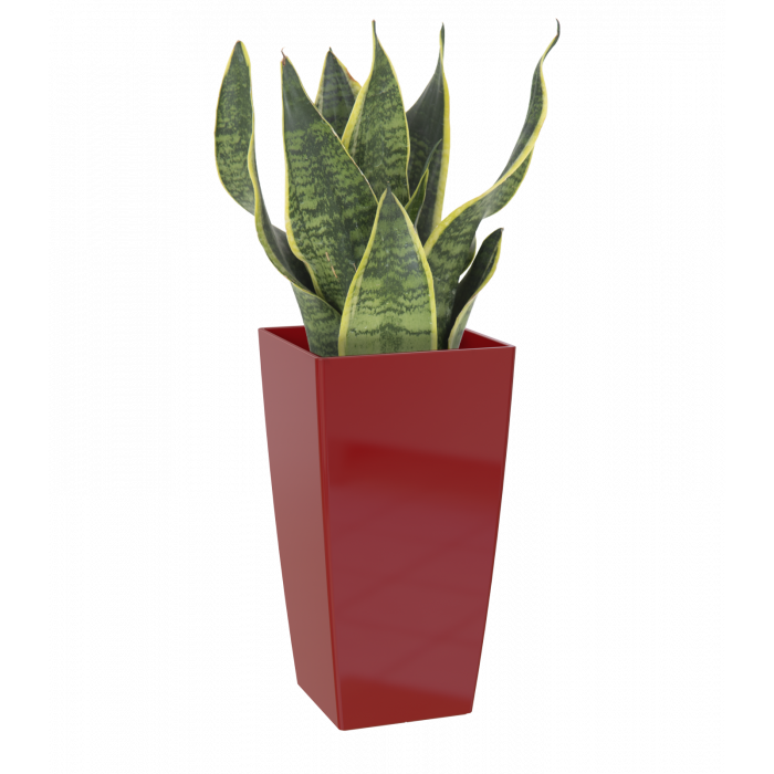 plastic-pot-recyclable-planter-tall-dark-red-plant_907738871