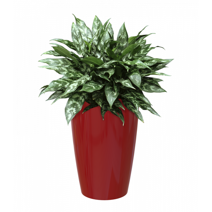 plastic-pot-recyclable-planter-tall-red-plant_1116151943