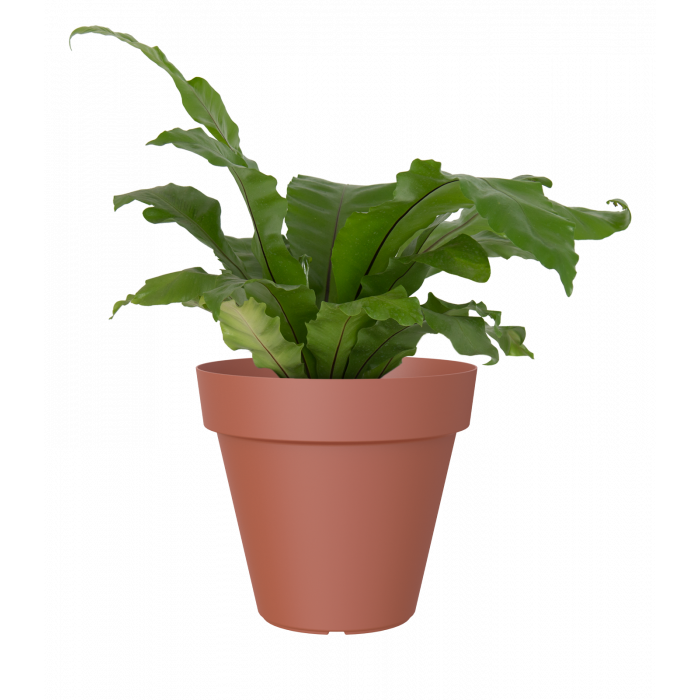 plastic-pot-recyclable-planter-terracotta-plant_1866013978