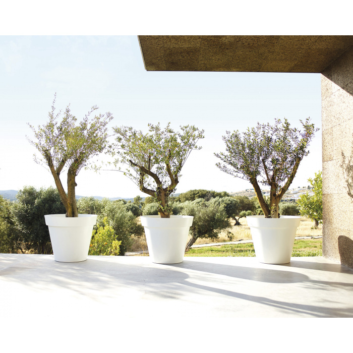 plastic-pot-recyclable-recycled-big-tree-white_815215367